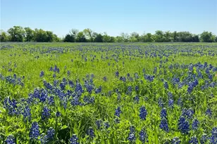 5 01 Acres Fm 308 Rd, Penelope, TX 76676 - Photo 1