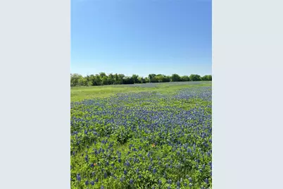 5.01 Acres Fm 308 Road, Penelope, TX 76676 - Photo 7