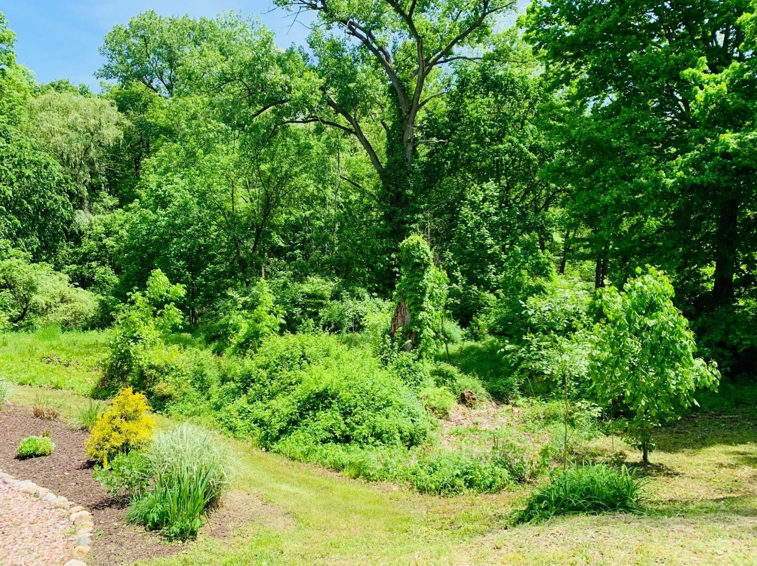 313 Golf Ln, Michigan City IN 46360 exterior