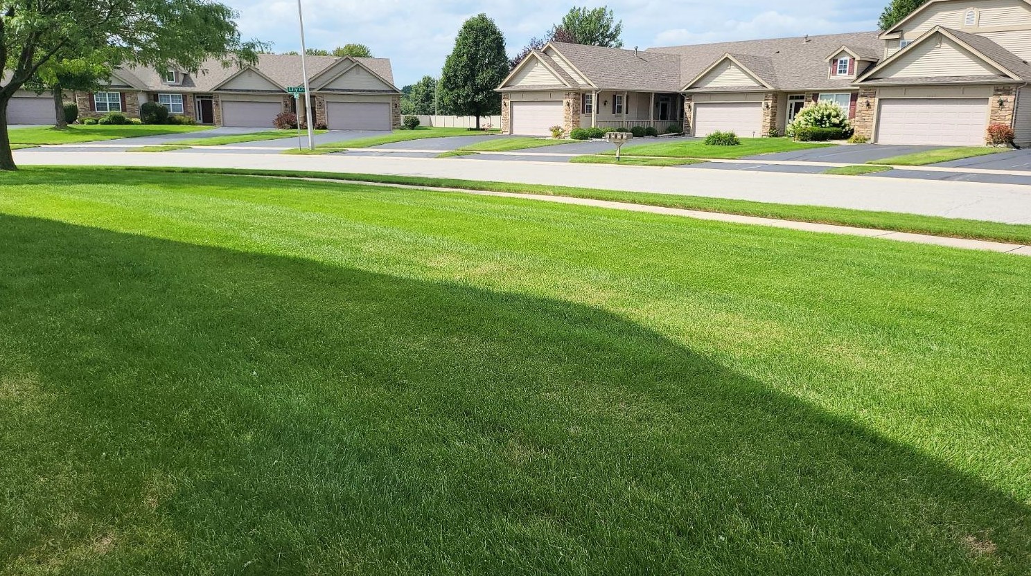 1207 Lily Ln, Schererville IN  46375-1471 exterior