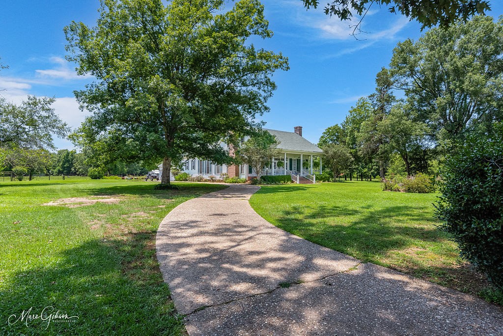 21650 Hwy 371, Cotton Valley, LA 71018 MLS 20364360 Coldwell Banker