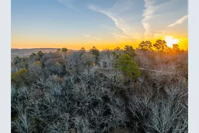 7288 Anderson County Road 404, Palestine, TX 75803 - Photo 1