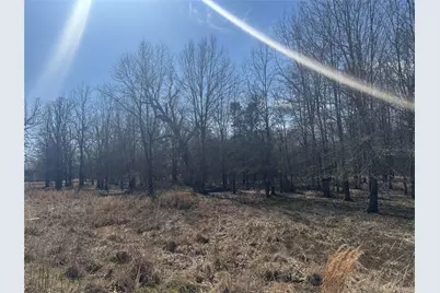 Lot 23 Pr 44005 Road, Blossom, TX 75416 - Photo 1