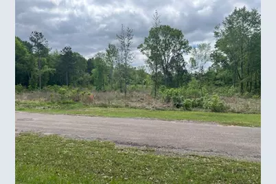 0 Buckskin Drive, Grand Cane, LA 71032 - Photo 1