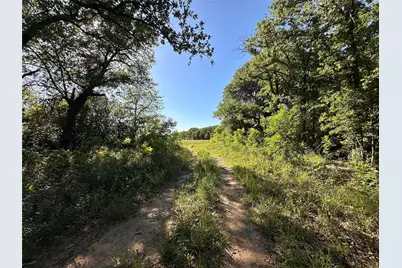 0000 County Road 428, Rising Star, TX 76471 - Photo 1