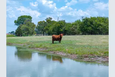Tbd Vz County Road 2120, Canton, TX 75103 - Photo 1