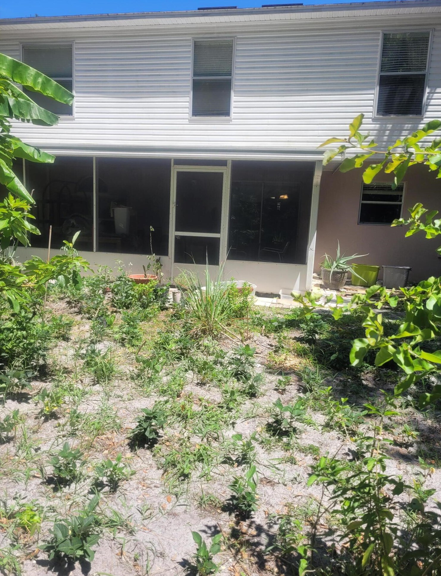 5537 Shady Pine St, Jacksonville FL  32244-8546 exterior