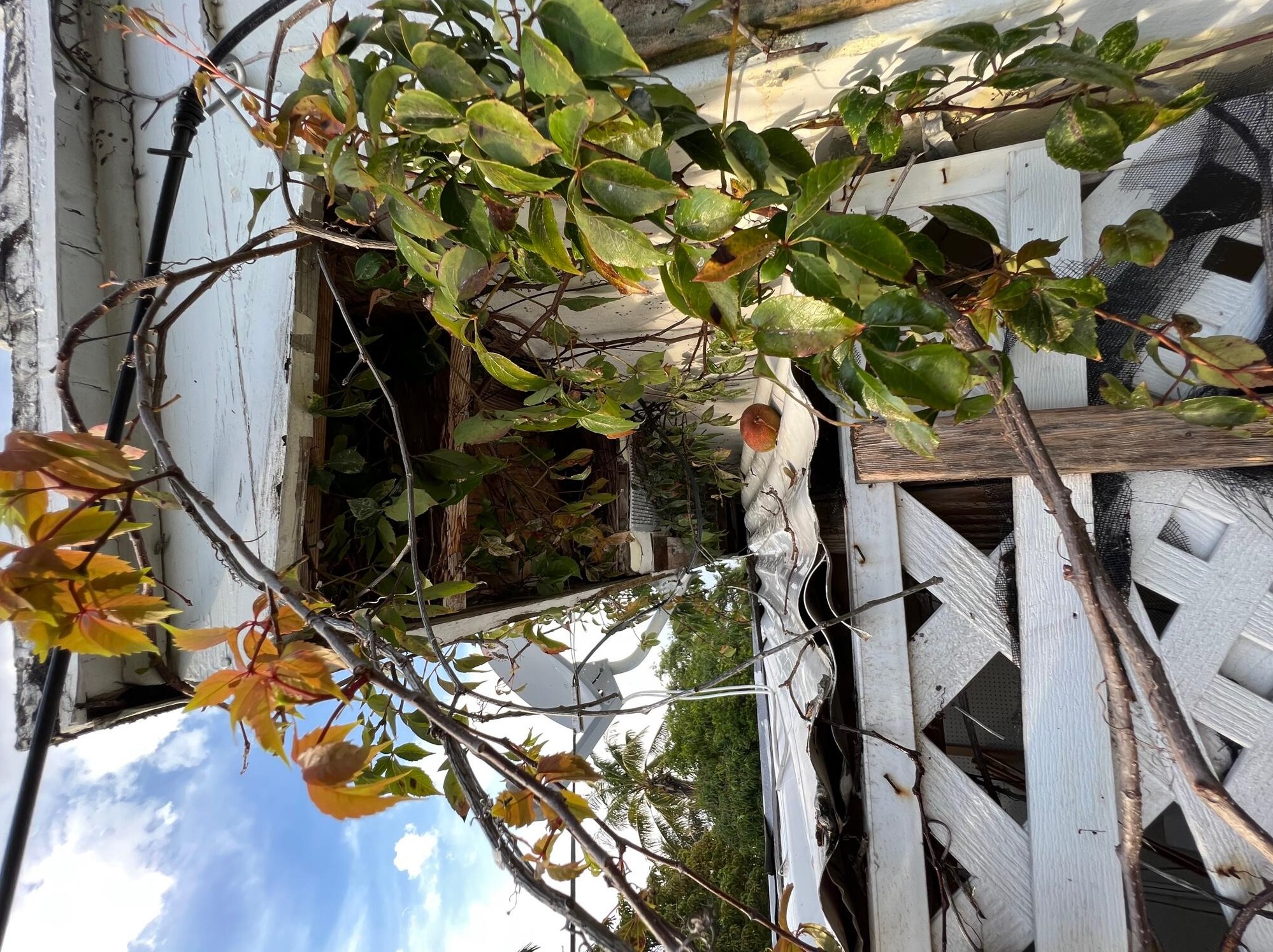 1005 N St, Lake Worth FL  33460-5142 exterior