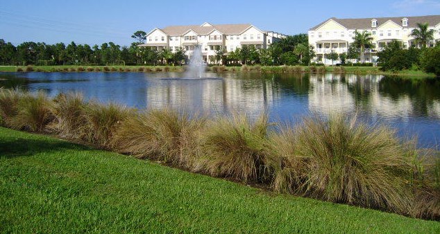 335 Thatch Palm Cir, Jupiter FL  33103-6316 exterior
