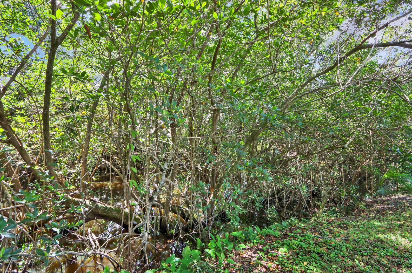 998 Mohican Blvd, Jupiter FL exterior