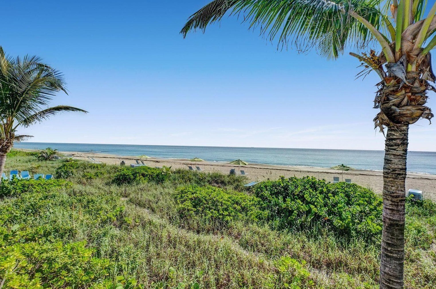 315 Palmwood Pl, Boca Raton FL  33431-8245 exterior