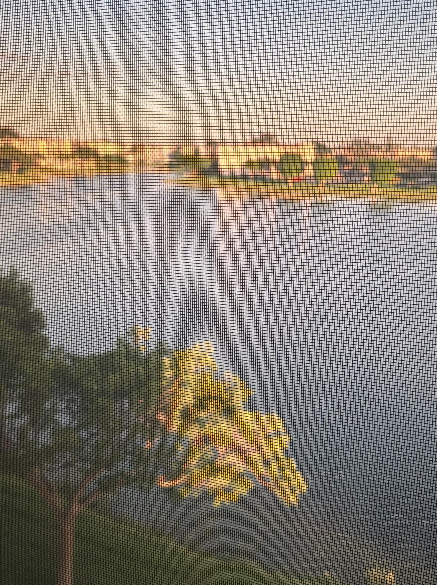 4019 Rexford B, Boca Raton FL  33434-4514 exterior