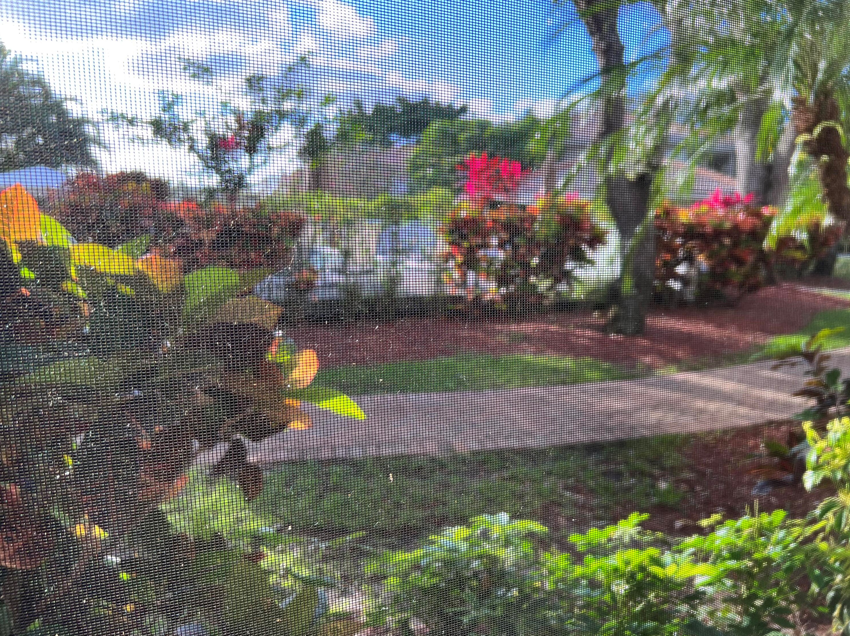 19897 Boca Dr, Boca Raton FL  33434-1827 exterior