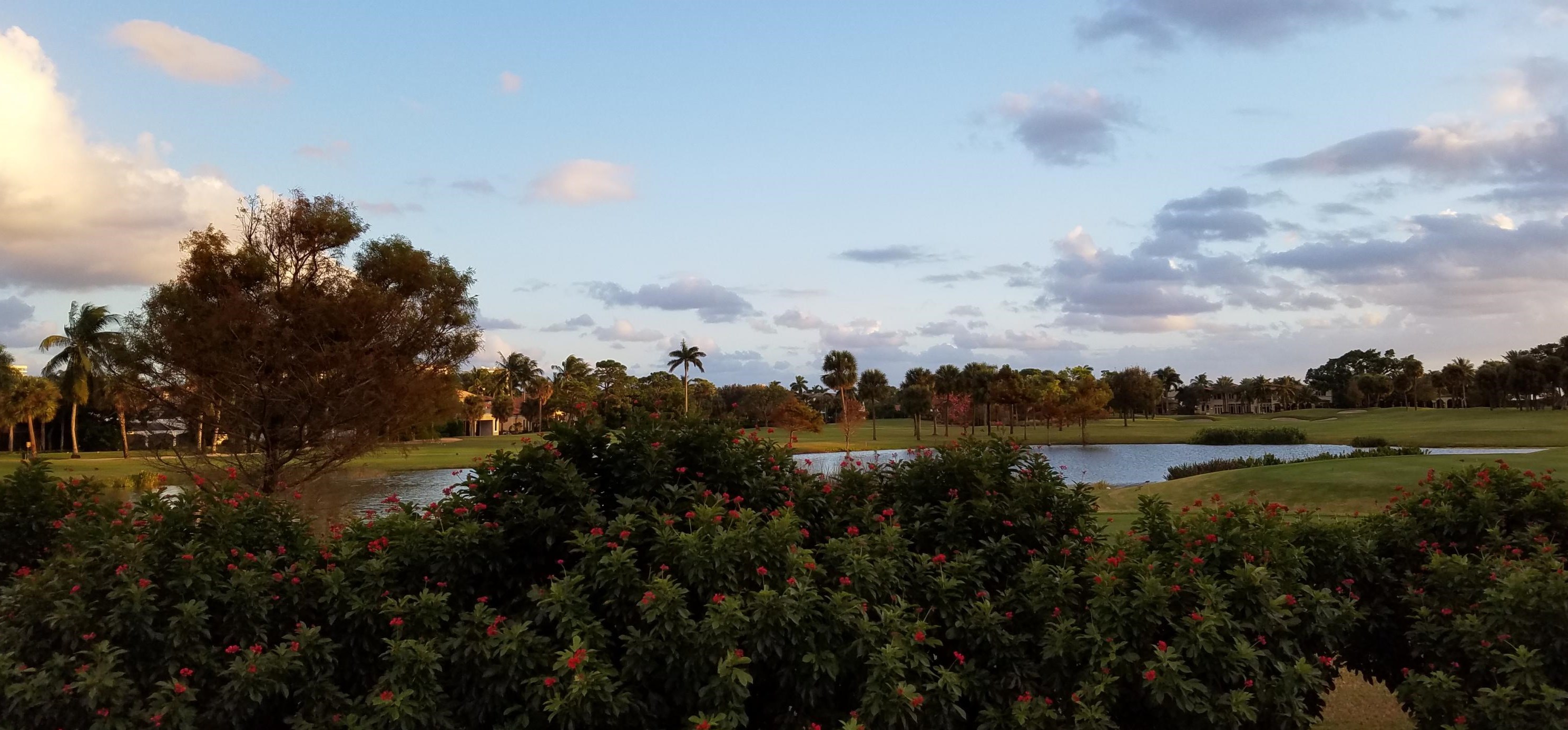 1668 Sabal Palm Dr, Boca Raton FL  33432-7423 exterior