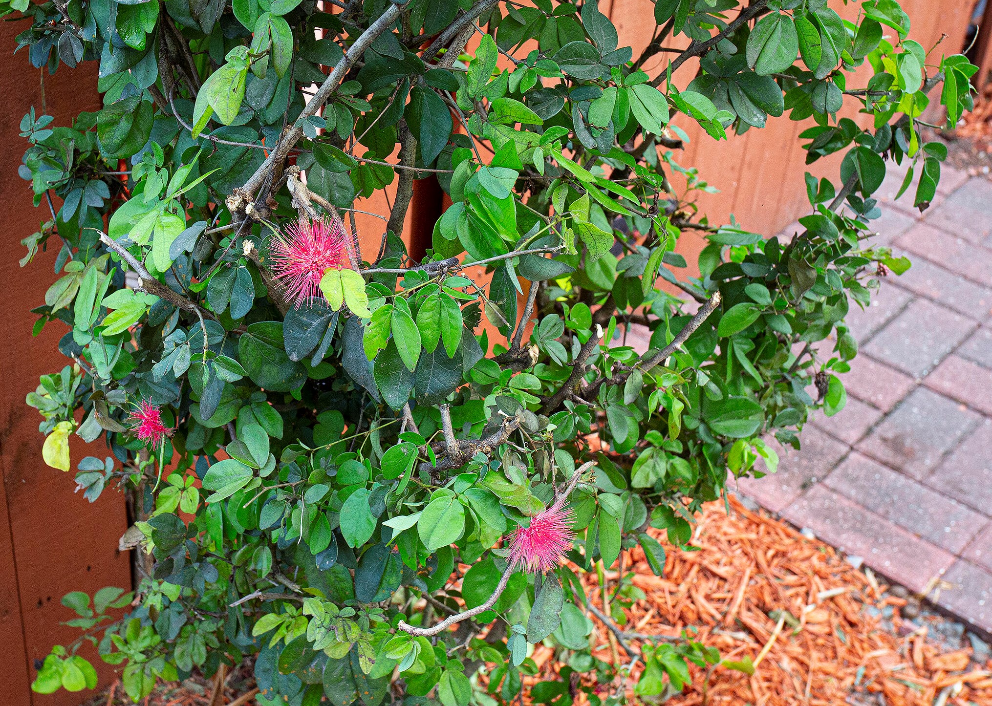 22220 Boca Rancho Dr, Boca Raton FL 33428-4314 exterior