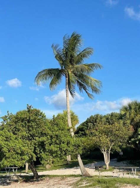 272 Village Blvd, Jupiter FL  33469-5305 exterior