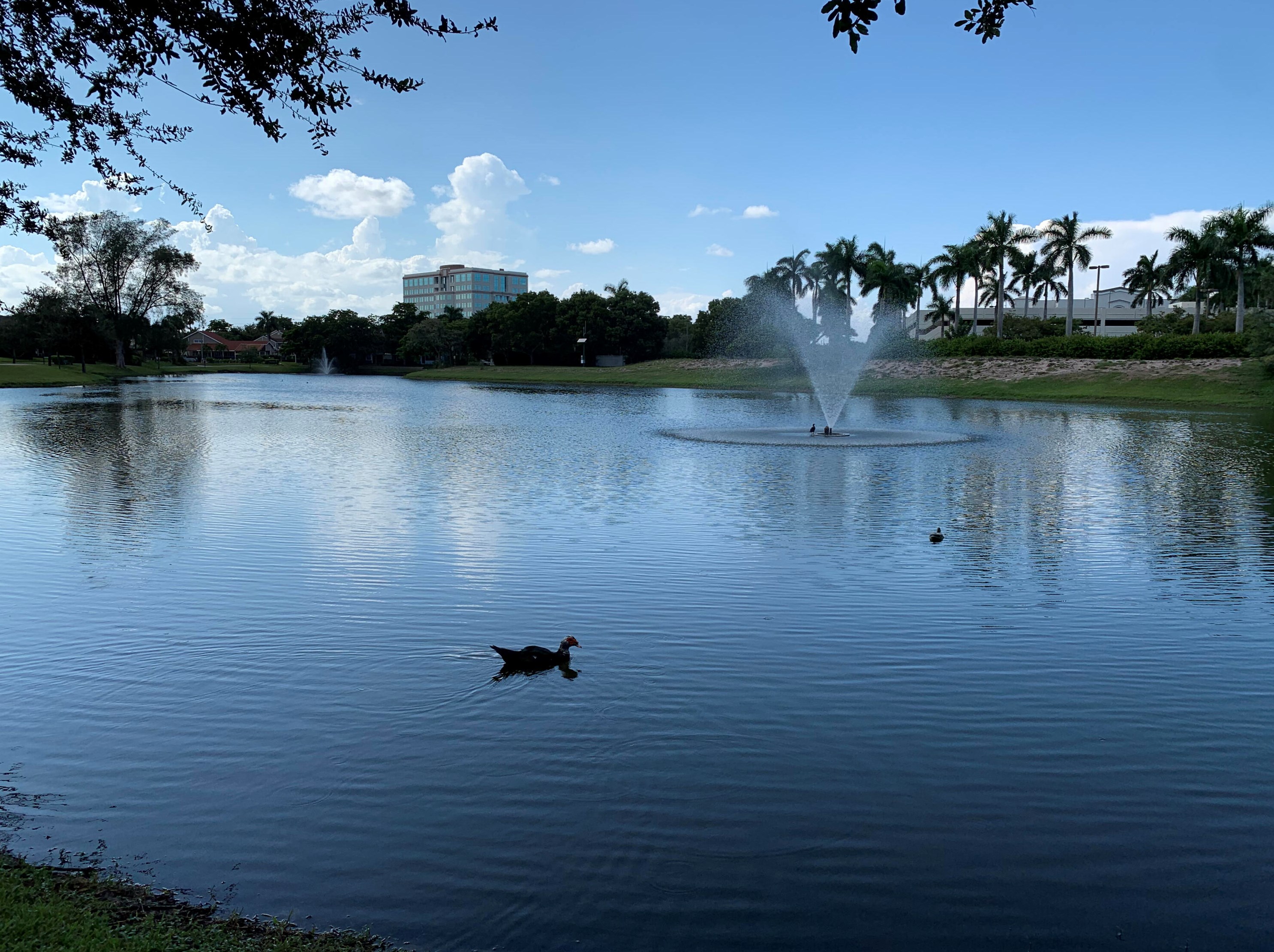 5345 Buckhead Cir, Boca Raton FL 33486-1439 exterior