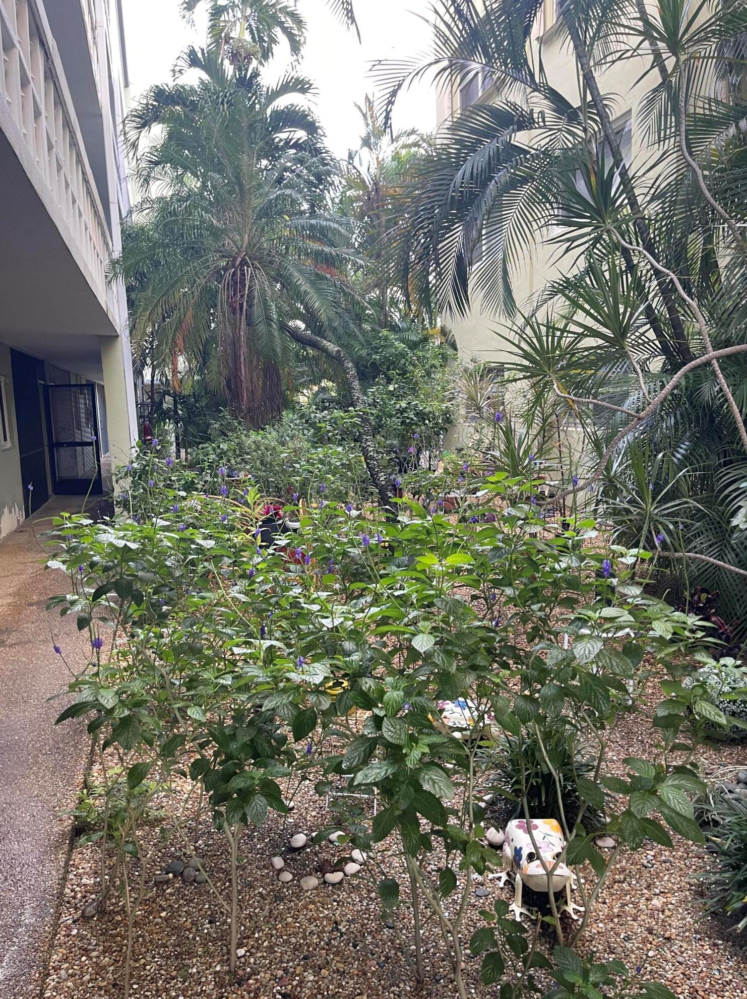 1425 Arthur St, Hollywood FL 33020-3720 exterior