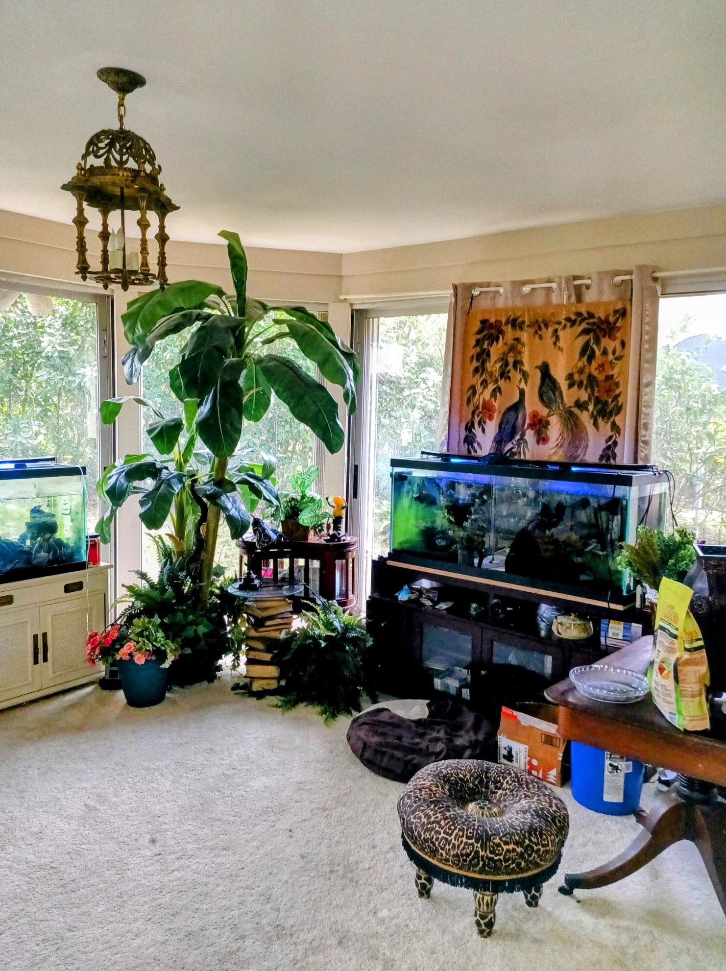 496 Forestview Dr, Lake Worth FL  33462-1214 exterior