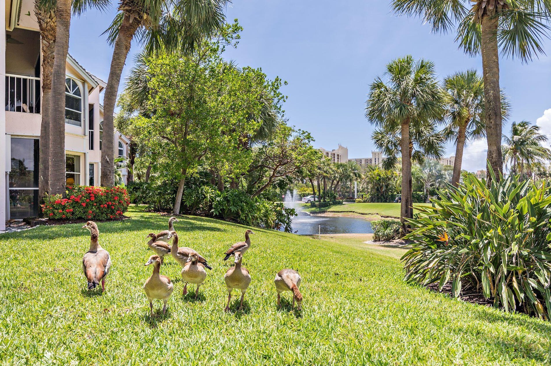 2905 Fairway Dr, Jupiter FL  33477-9521 exterior