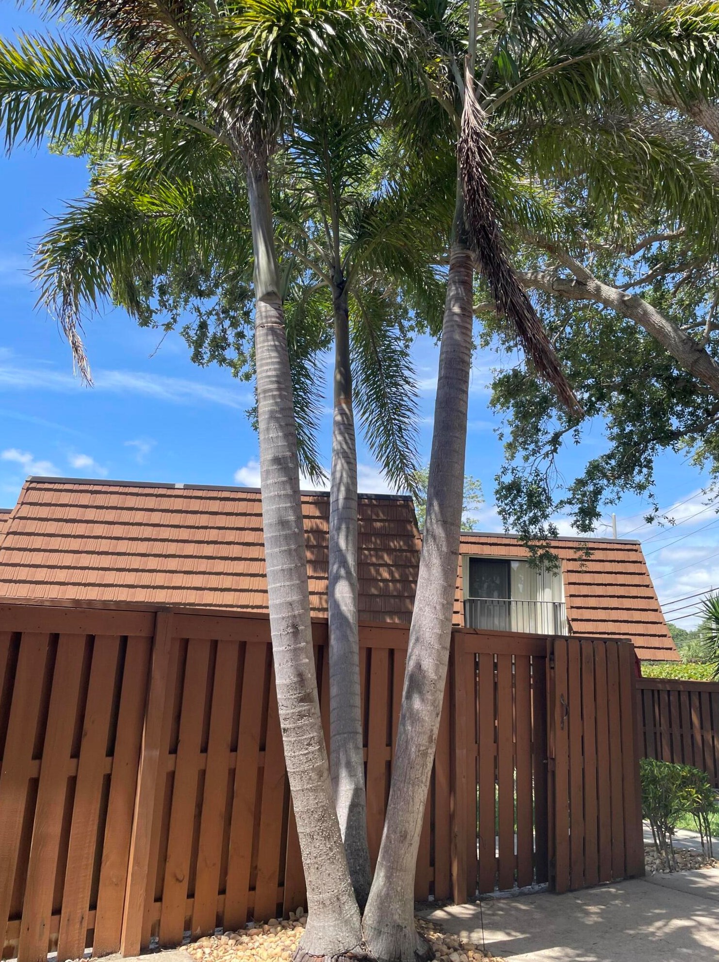 3900 County Line Rd, Jupiter FL  33469-2262 exterior
