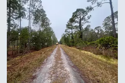 222 Marie Avenue, Georgetown, FL 32139 - Photo 13