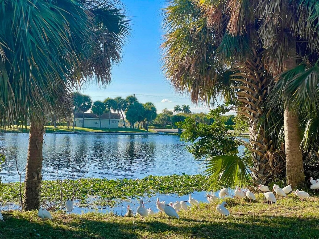 2840 Cynthia Ln, Lake Worth FL  33461-5815 exterior