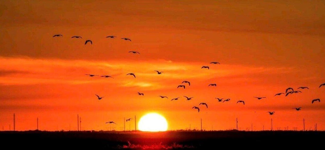 1751 Corsica Dr, West Palm Beach FL  33414-1046 exterior