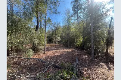 6291 Drake Avenue, Keystone Heights, FL 32656 - Photo 1