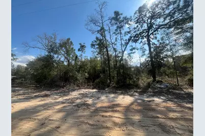 6291 Drake Avenue, Keystone Heights, FL 32656 - Photo 3