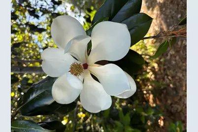 1104 SW 11th Street, Okeechobee, FL 34974 - Photo 11