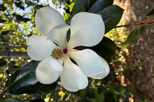 1104 SW 11th St, Okeechobee, FL 34974 - Photo 11