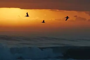 350 Horizons E Unit, Boynton Beach, FL 33435 - Photo 41