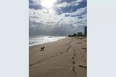 3870 N Highway A1A N #101-1, Hutchinson Island, FL 34949 - Photo 29