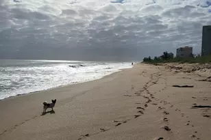 3870 N Hwy A1A, Hutchinson Island, FL 34949 - Photo 29