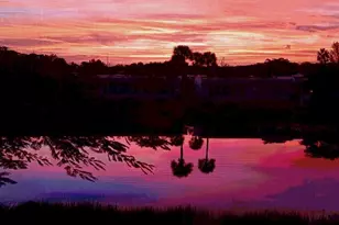 154 Lake Meryl Dr, West Palm Beach, FL 33411 - Photo 21