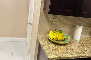 833 Briggs Street St, West Palm Beach, FL 33405 - Photo 23