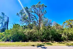 12142 Joyner Ave, Port Charlotte, FL 33953 - Photo 1