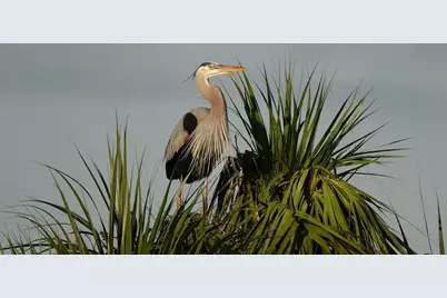 27064 SW Viterbo Way, Port Saint Lucie, FL 34986 - Photo 33