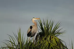 27064 SW Viterbo Wy, Port Saint Lucie, FL 34986 - Photo 33