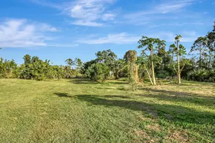 3446 Cabbage Palm Way, Loxahatchee, FL 33470 - Photo 45