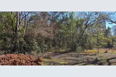 5676 Soutel Drive, Jacksonville, FL 32219 - Photo 9