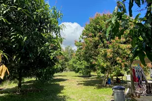 9570 Orange Ave, Fort Pierce, FL 34945 - Photo 13