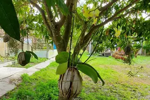 9570 Orange Ave, Fort Pierce, FL 34945 - Photo 21