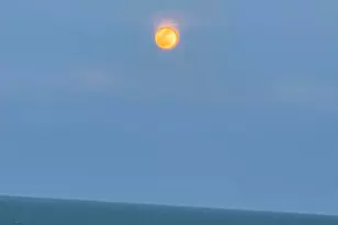 4180 N Hwy A1A, Hutchinson Island, FL 34949 - Photo 51