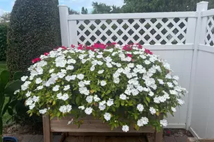 6985 SE Amendment St, Hobe Sound, FL 33455 - Photo 27