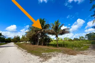 17853 60, Loxahatchee, FL 33470 - Photo 1