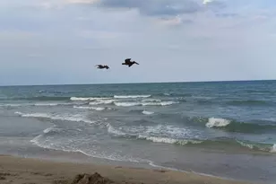 9960 S Ocean Dr, Jensen Beach, FL 34957 - Photo 19