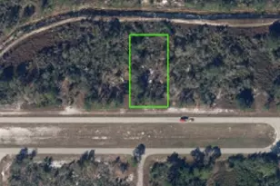 932 Island Pkwy NE, Lake Placid, FL 33852 - Photo 1