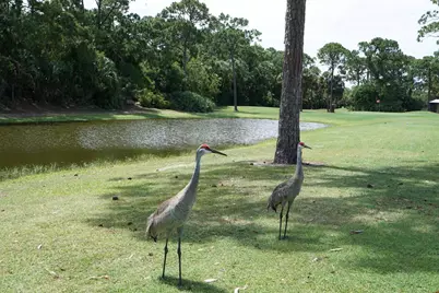 41 Montilla Way, Port Saint Lucie, FL 34952 - Photo 35